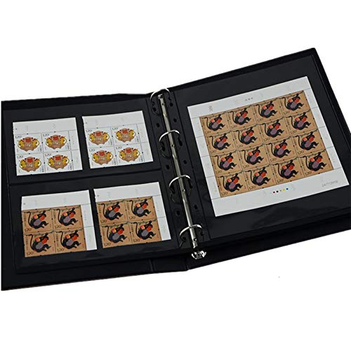 MUROAD Páginas de sellos para carpeta de álbumes de sellos, 10 hojas 1S páginas para coleccionistas de páginas de sellos, paquete profesional (1 fila)