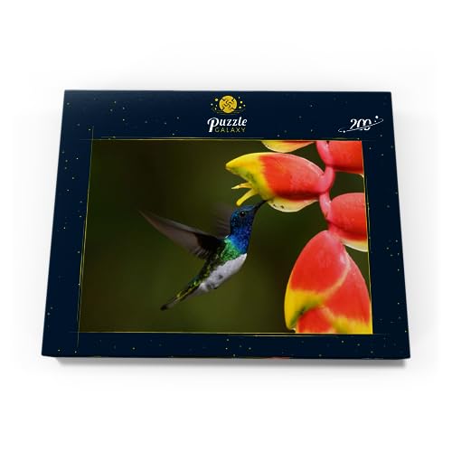 Pájaro Recogiendo Dulce Néctar De Flor Rosada, Costa Rica - Premium 200 Piezas Puzzles - Colección Especial MyPuzzle de Puzzle Galaxy