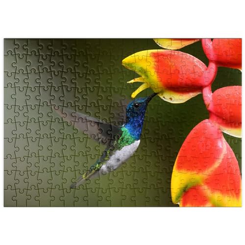 Pájaro Recogiendo Dulce Néctar De Flor Rosada, Costa Rica - Premium 200 Piezas Puzzles - Colección Especial MyPuzzle de Puzzle Galaxy