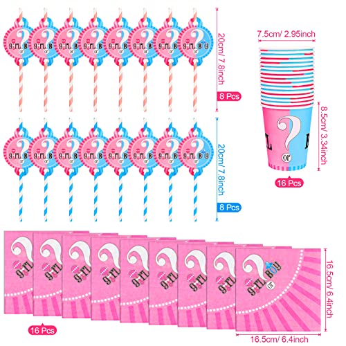 PHOGARY Vajilla de Baby Shower Decoración, 81pcs Gender Reveal para 16 Invitaciones, Fiesta de Revelación de Género del Bebé (Azul y Rosa)