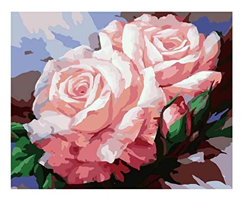 Pintura de bricolaje por números flores pintura al óleo pintada a mano pintura acrílica decoración del hogar regalo único divertido en el hogar A4 60x75cm