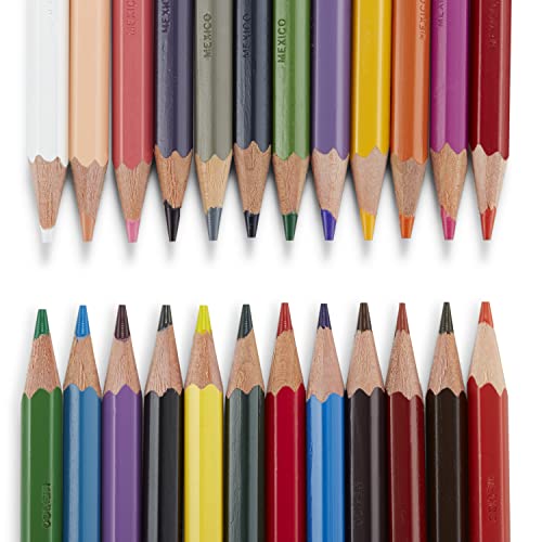 Prismacolor Col-Erase Lápices de colores borrables, paquete con 24 Lápices, Multicolor
