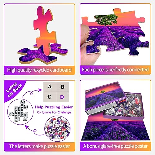 Puzzle de 1000 piezas, puzle para adultos, puzle imposible, puzle colorido, juego de habilidad para toda la familia de lavanda en Provenza