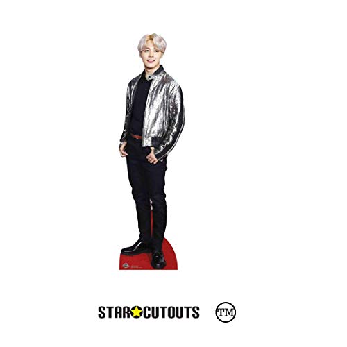 Star Cutouts CS905 BTS Bangtan Boy Silver Jacket r Park_Ji_Min (Star Mini) 90 cm de alto, multicolor