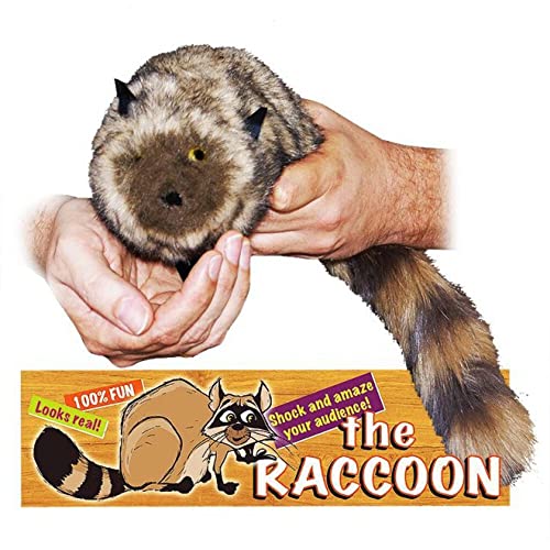 The Raccoon 100% Syntetic