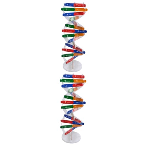 Toyvian 2 Juegos De Doble Hélice De ADN Juguetes para Niños Maniquí De Juguete para Niños Material Didáctico para El Aula Estructura del Modelo Doble De ADN Modelo De Hélice De ADN