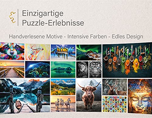 Ulmer Puzzleschmiede - Puzzle Colores Brillantes: Puzzle de 1000 Piezas - Polvo de Pintura Colorido Que explota como Motivo de Puzzle Moderno