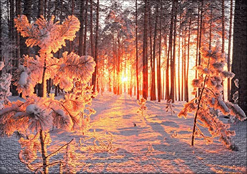 Ulmer Puzzleschmiede - Puzzle "sol de invierno" – Puzzle clásico de 1000 piezas del año – Paisaje de nieve en nuestro hogar – cálido rayos de sol, luz y sombra en el frío bosque de invierno.