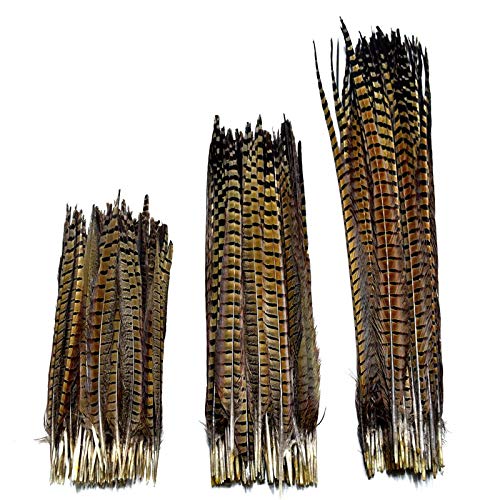 Venta al por mayor 25-70CM 10-28"plumas de faisán naturales para manualidades Extensión de cabello Centros de mesa Plumas de decoración Tocado indio-10-12 pulgadas - 25-30 cm, 10 piezas