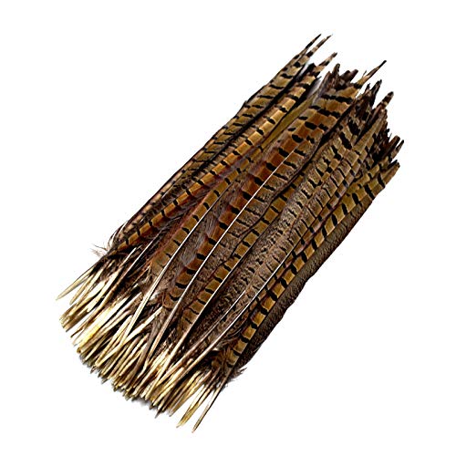 Venta al por mayor 25-70CM 10-28"plumas de faisán naturales para manualidades Extensión de cabello Centros de mesa Plumas de decoración Tocado indio-10-12 pulgadas - 25-30 cm, 10 piezas