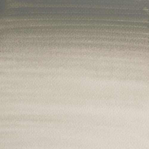 Winsor & Newton Acuarela Profesional - Pintura de Acuarela, Alta Luminosidad, Resistente a la Luz, Calidad de Archivo, Godet, Color Gris De Davy