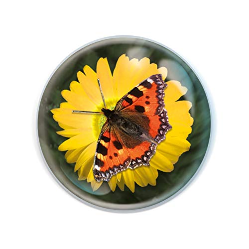 Imanes Magnidome - Mariposa de Deluxebase. Imán de Nevera de Cristal con diseño de Insecto para niños. Magníficos imanes con Forma de cúpula para decoración y Accesorios del hogar