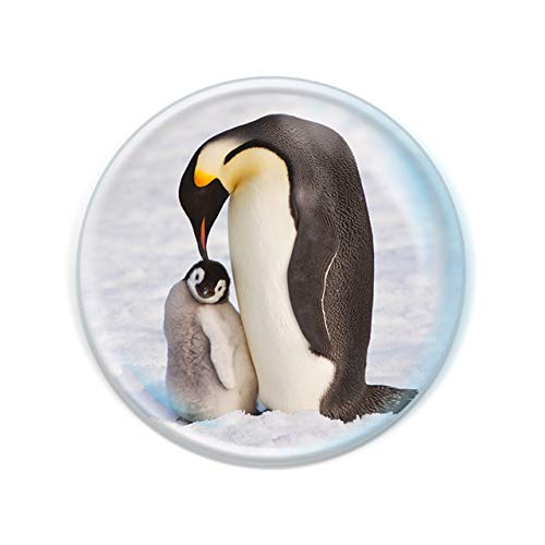 Imanes Magnidome - Pingüino de Deluxebase. Imán de Nevera de Cristal con diseño de pingüino para niños. Magníficos imanes con Forma de cúpula para decoración y Accesorios del hogar