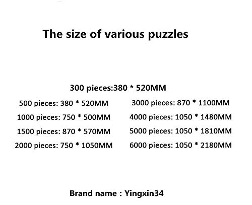 Yingxin34 Puzzle 1000 Piezas,Rompecabezas Flores y Plantas bajo el Sol poniente,Puzzle Creativo,Puzzle Arcoiris,Puzzle Adultos-30x20 Pulgadas (75 x 50cm)